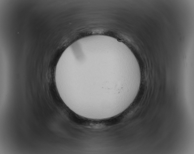 X0000082970311200703020240