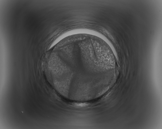 X0000082970313200703020240