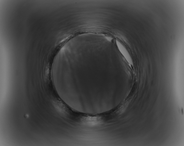 X0000082970314200703020240