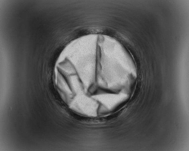 X0000082970315200703020240