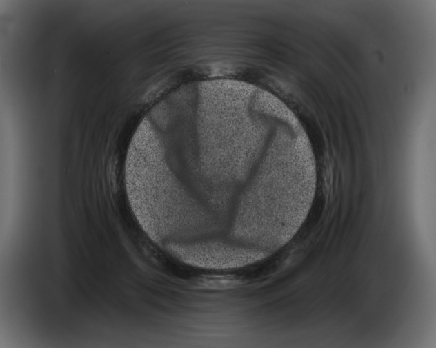 X0000082970316200703020240