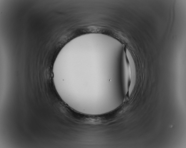 X0000082970317200703020240