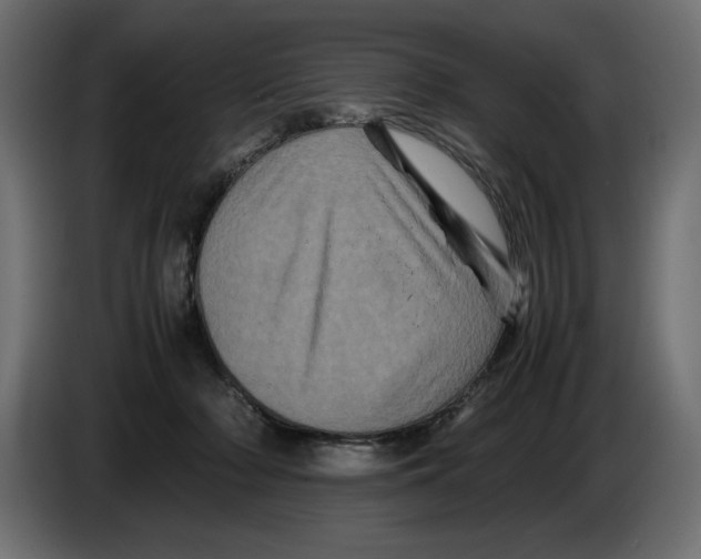 X0000082970318200703020240
