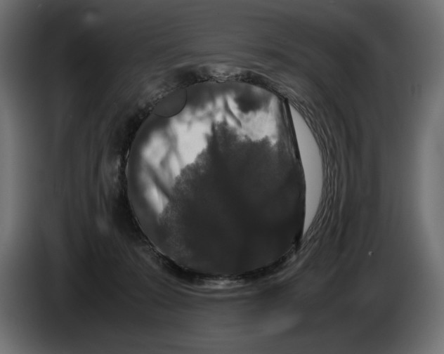 X0000082970319200703020240
