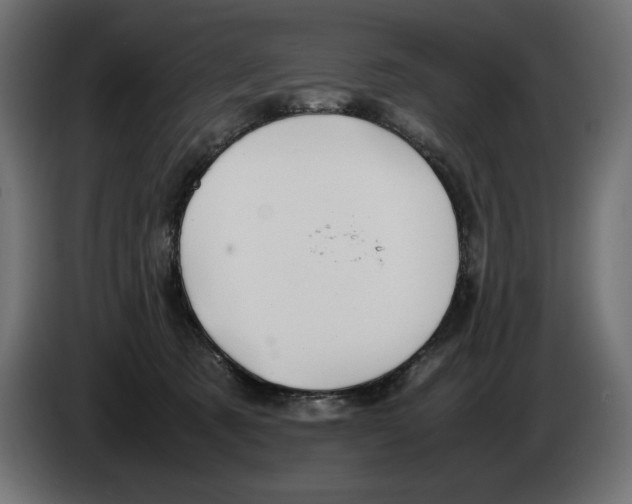 X0000082970321200703020240