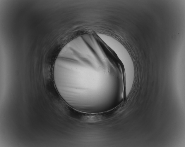 X0000082970323200703020240
