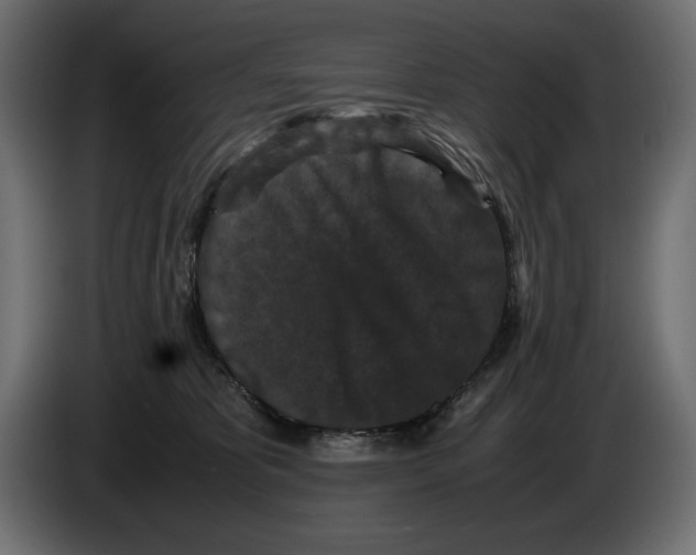 X0000082970325200703020240