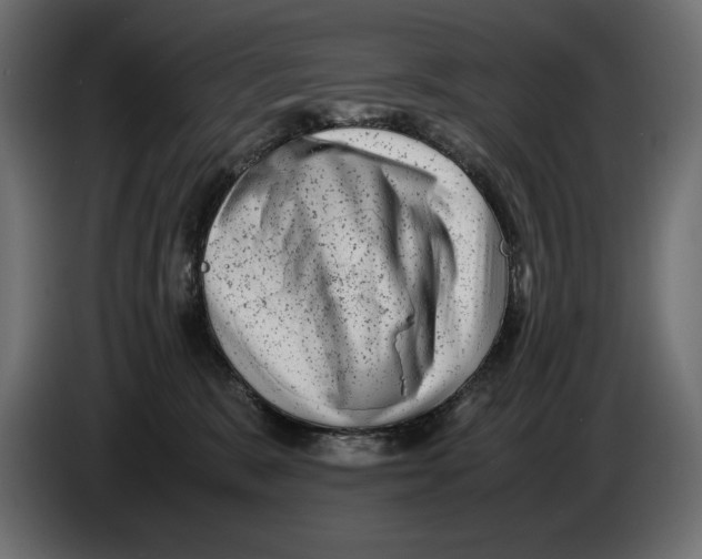 X0000082970327200703020240