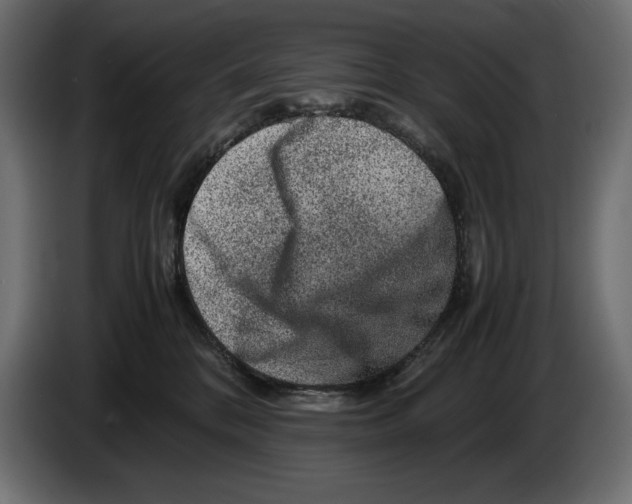 X0000082970328200703020240