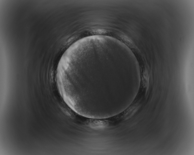 X0000082970330200703020240