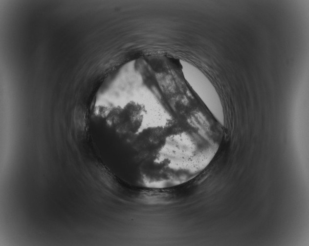 X0000082970331200703020240