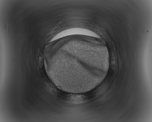 X0000082970332200703020240