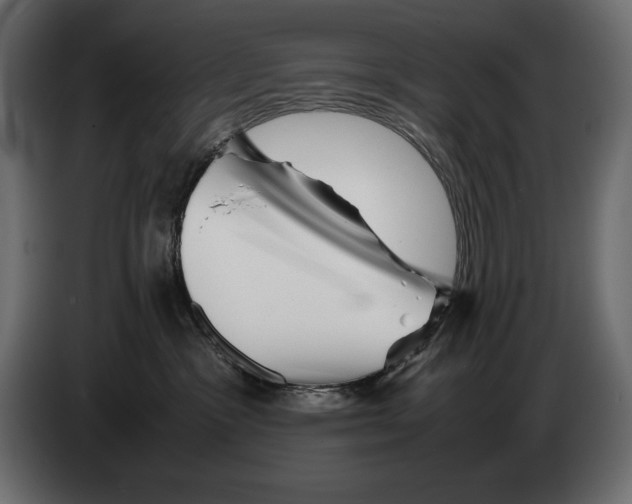 X0000082970333200703020240