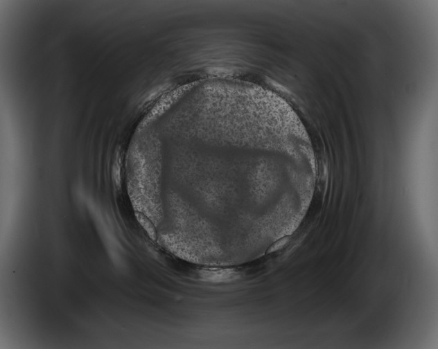 X0000082970334200703020240