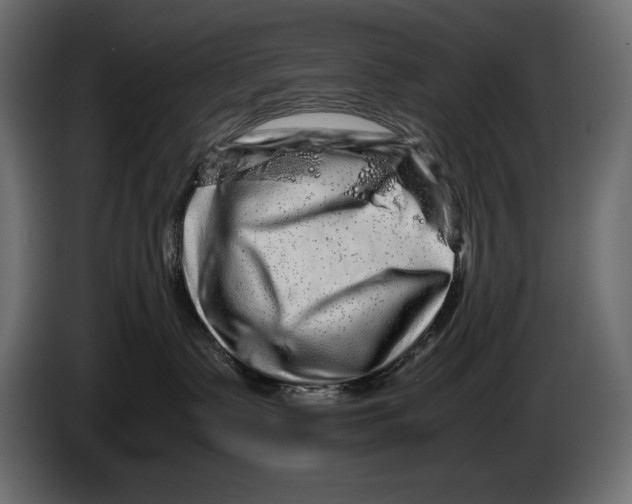 X0000082970335200703020240