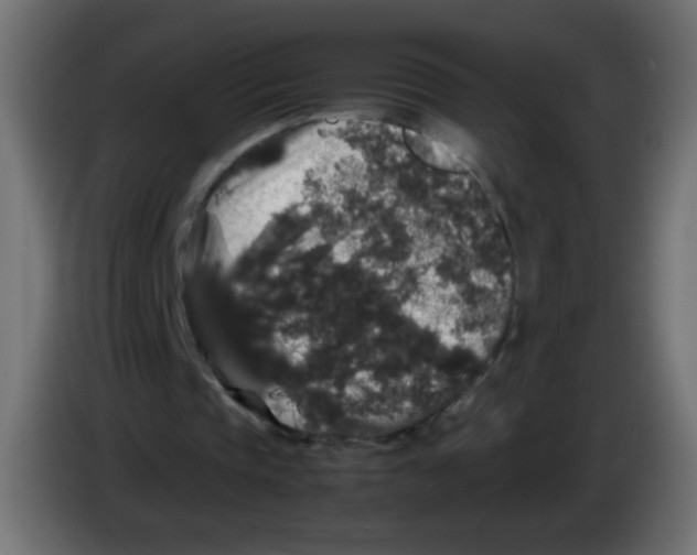 X0000082970337200703020239