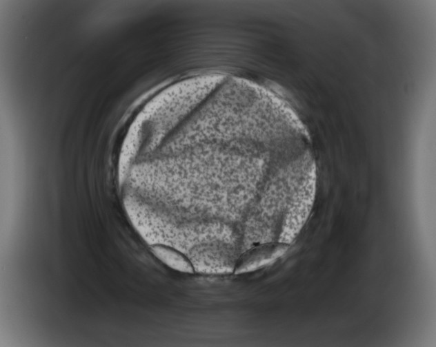 X0000082970338200703020239