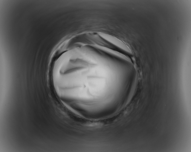 X0000082970340200703020239