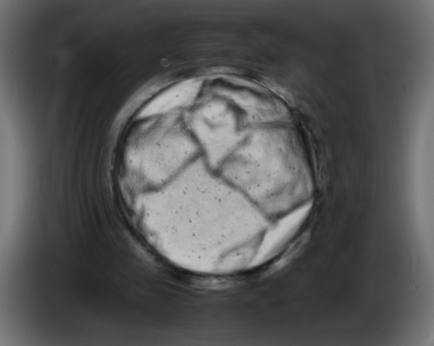 X0000082970341200703020239
