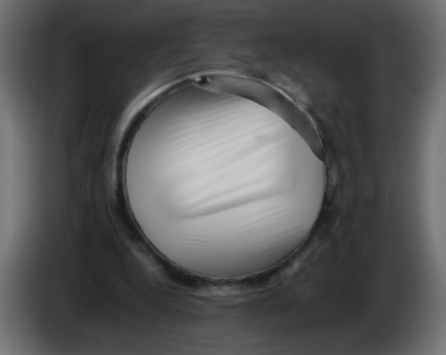 X0000082970344200703020239