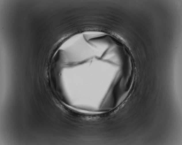 X0000082970345200703020239