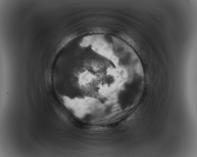 X0000082970347200703020239