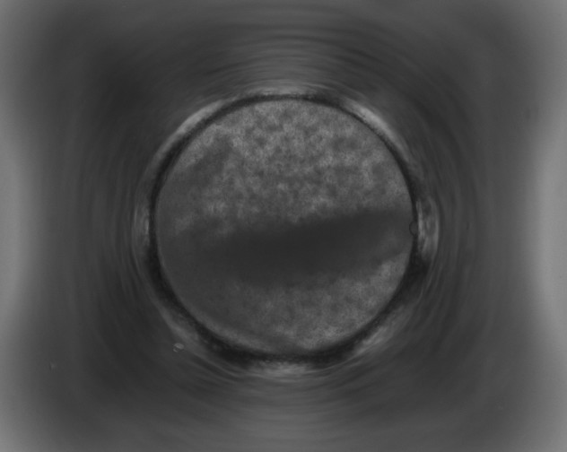 X0000082970348200703020239