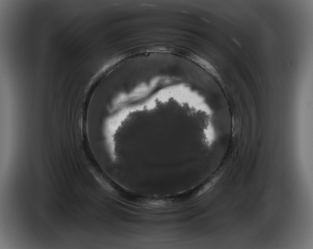 X0000082970349200703020239