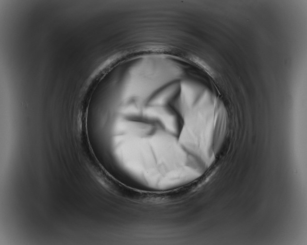 X0000082970350200703020239