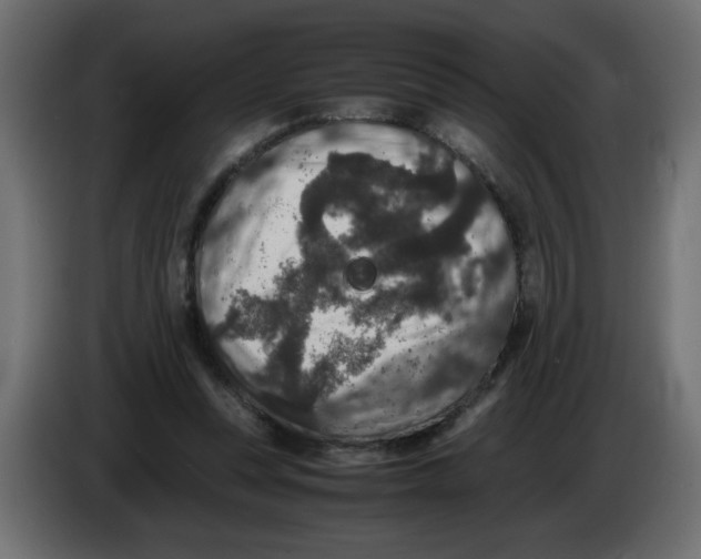 X0000082970351200703020239