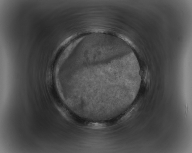 X0000082970352200703020239