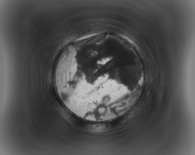 X0000082970353200703020239
