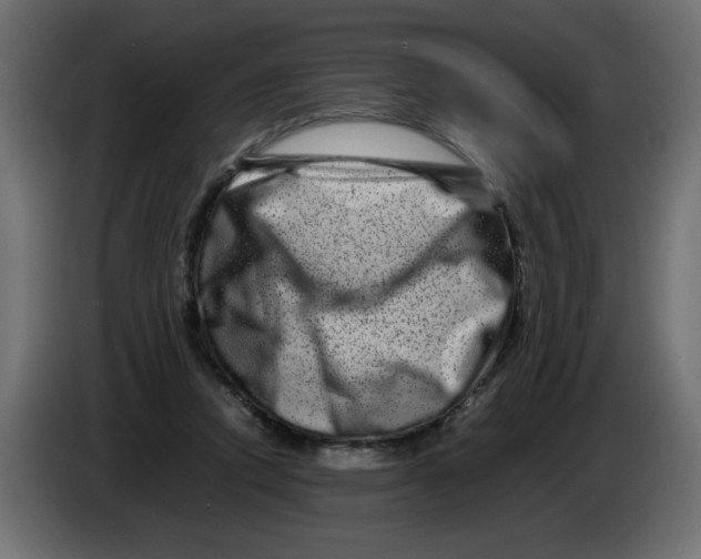 X0000082970354200703020239