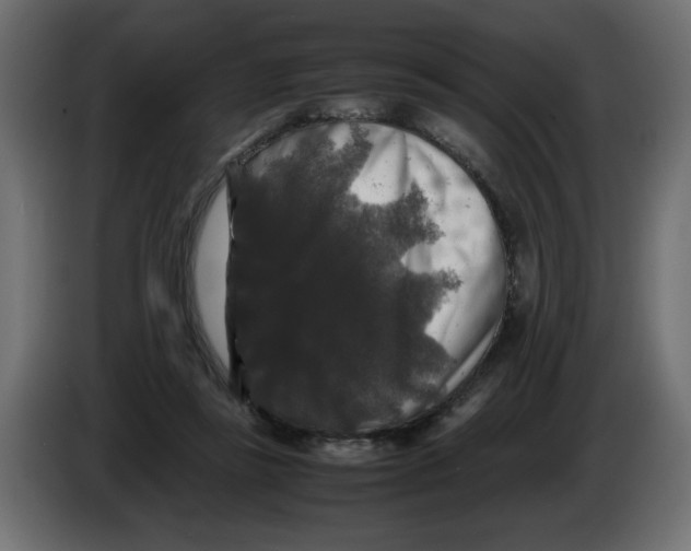 X0000082970355200703020239