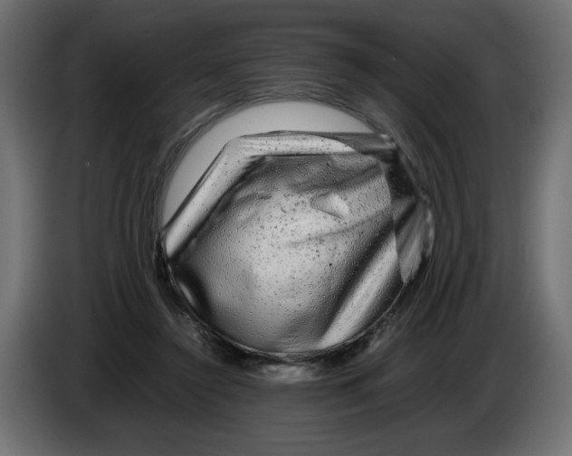 X0000082970356200703020239