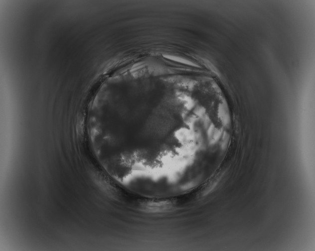 X0000082970357200703020239