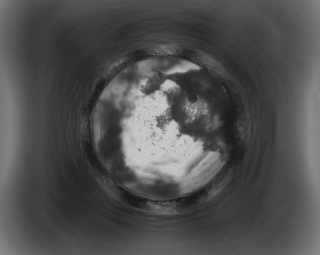 X0000082970359200703020239