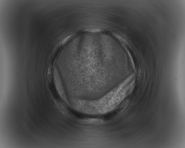 X0000082970360200703020239