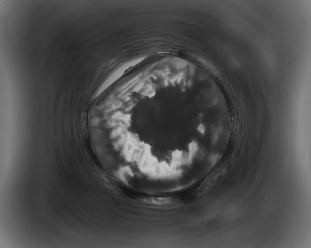 X0000082970361200703020239