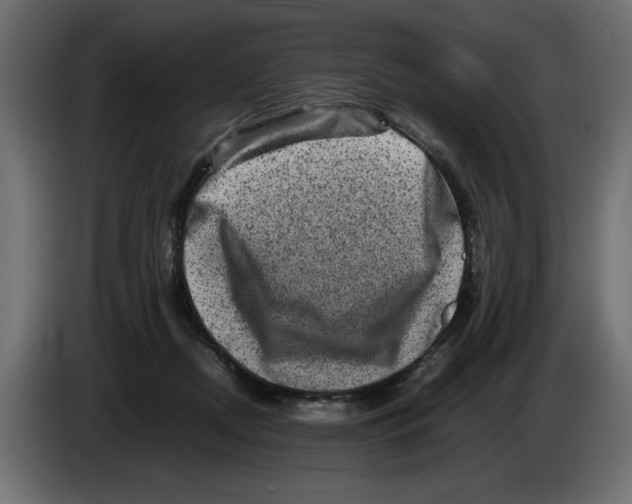 X0000082970362200703020239