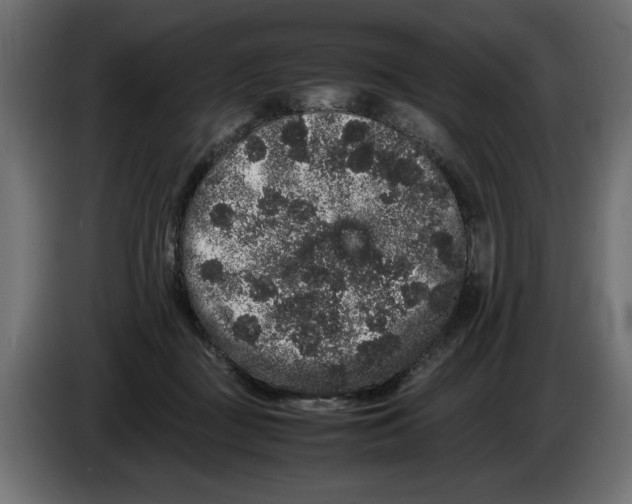 X0000082970363200703020239