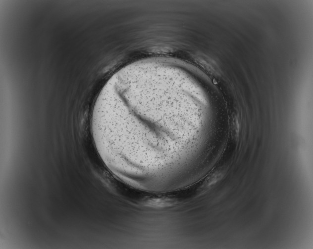 X0000082970364200703020239