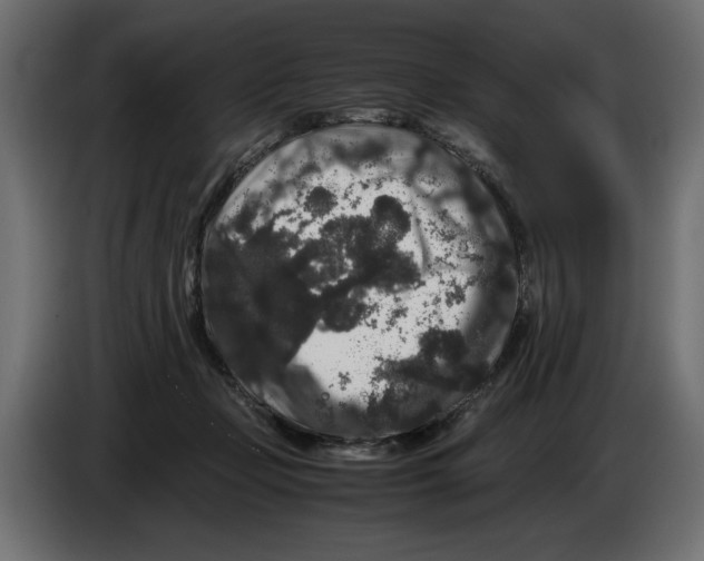 X0000082970365200703020239