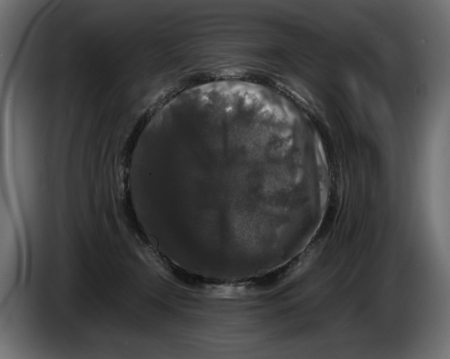 X0000082970366200703020239
