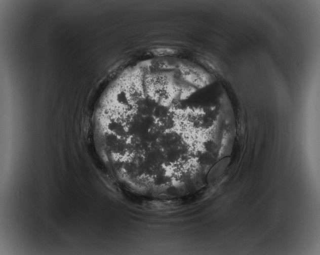 X0000082970367200703020239