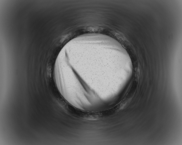X0000082970368200703020239