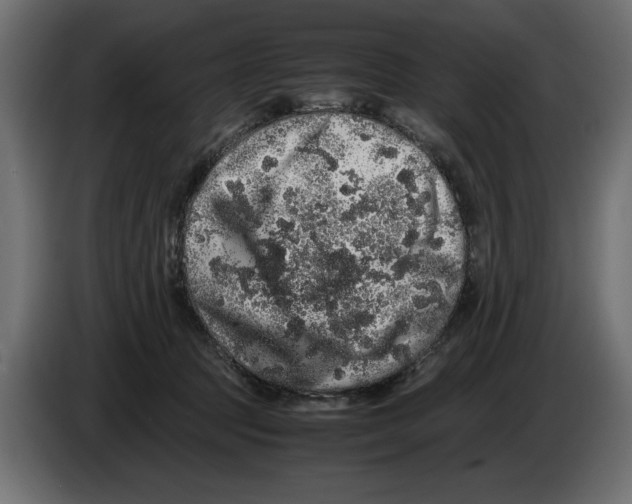 X0000082970369200703020239