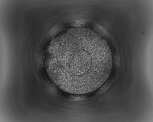 X0000082970370200703020239