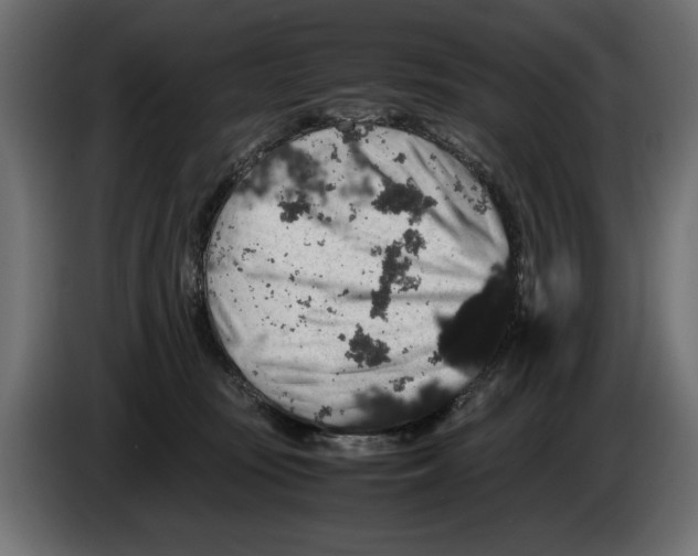X0000082970371200703020239