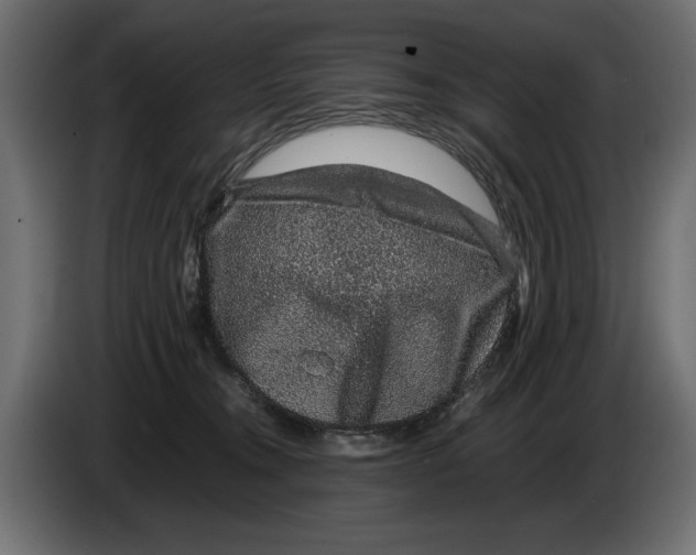 X0000082970372200703020239